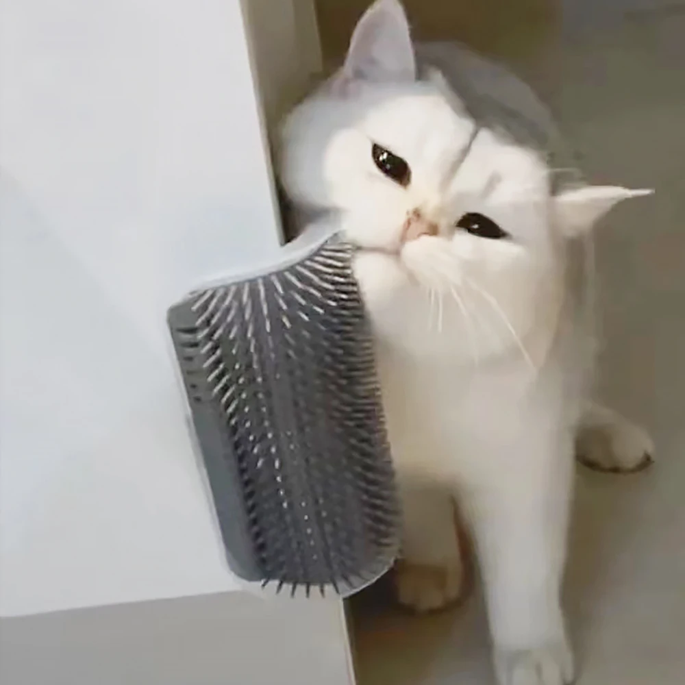 عنصر مدلك للقطط مادة البولي بر - مراجعة Hair Care Good Hair وسعره